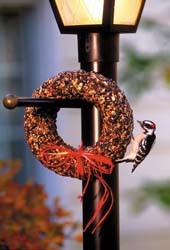 Wild Birds Unlimited Seed Wreath